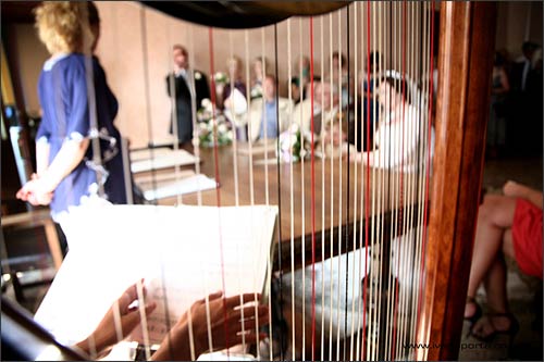 Arpista-Matrimonio-Verbania