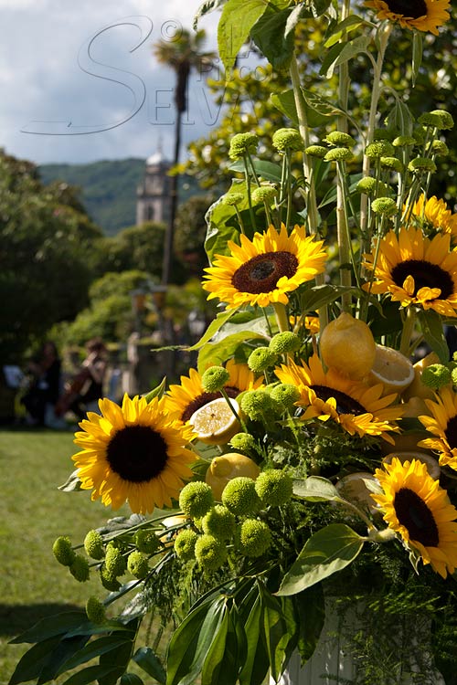 composizioni-floreali-girasoli