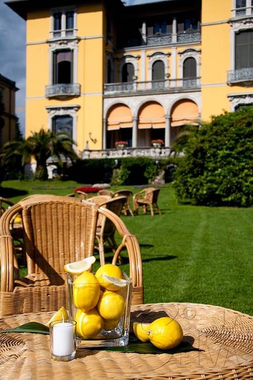 addobbi-floreali-con-limoni